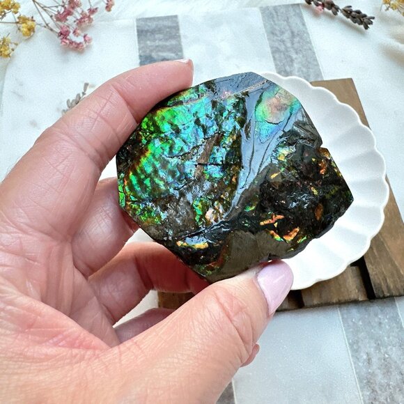 Gorgeous Canadian Ammolite Specimen - Picture 3 of 8
